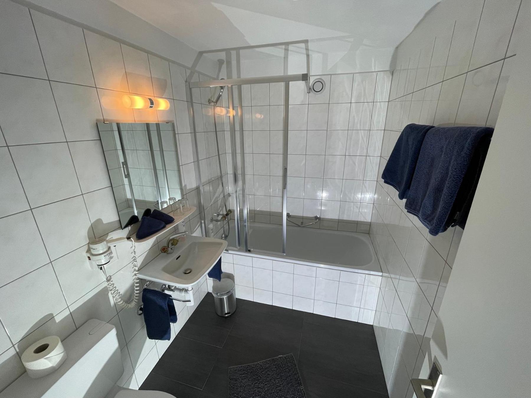 Catrina Hotel Disentis Room photo
